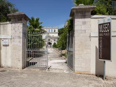 ...ospitato all�interno di Casina Cappeluti, in via Mayer